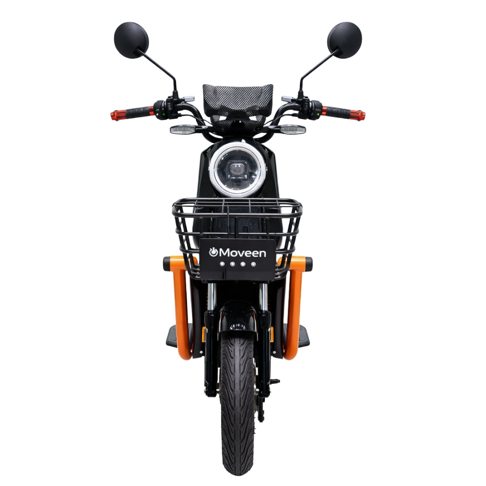 MOTO ELÉCTRICA HS1000B-C