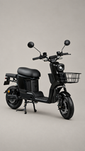 MOTO ELÉCTRICA HS1000B